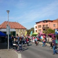 Představení solárního vařiče a grilu: Svatováclavské slavnosti v Dolních Břežanech u Prahy